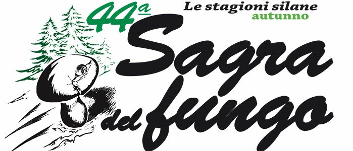 sagra-del-fungo-2013-programma(2)